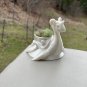 Tiny Lapras dragon air planter