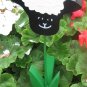 Black Sheep garden flower wood