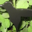 Hummingbird Wood Plant Poke Silhouette black