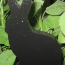 Rabbit Wood Plant Poke Silhouette black