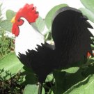 Rooster chicken Wood Plant Poke