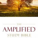Amplified Study Bible,