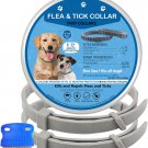 Flea and Tick Collar for Dog and Puppies, One Size Collar Fits All Dogs 12 Weeks
