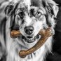 Pet Qwerks Wishbone BarkBone - Nylon Chew Toy for Aggressive Chewers - Bacon Flavor