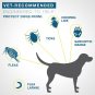Seresto Flea and Tick Collar for Dogs, Tick Collar for Large Dogs (Over 18 Pounds), 2 Pack