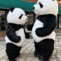 Inflatable Panda Mascot Costume Air Mascot for Event, Birthday, and Halloween
