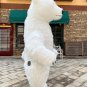 Inflatable Bear Mascot Costume Air Mascot for Event, Birthday, and Halloween (BATTERY NOT INCLUDED)