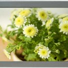 LCD advertising player