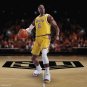 LeBron James Los Angeles Lakers Star Player Lot of 20 Photo Prints 8 x 10 # 2