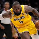 LeBron James Los Angeles Lakers Star Player Lot of 20 Photo Prints 8 x 10 # 4