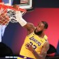 LeBron James Los Angeles Lakers Star Player Lot of 20 Photo Prints 8 x 10 # 1