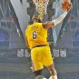 LeBron James Los Angeles Lakers Star Player Lot of 20 Photo Prints 8 x 10 # 3