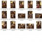 Nia Nacci Novice / 29 Metallic Finish Prints 8x10 Professionally Printed