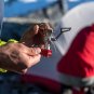MSR PocketRocket 2 Ultralight, Fast-Boiling Canister Camp Stove