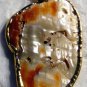Exquisite Red Abalone Shell Pendant 10K Frame