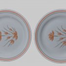 2 Vintage Corelle Peach Floral Dessert Bread Salad Plates 7 1/4” Corning USA
