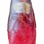 1961 Vintage Pepsi Cola Bottle Swirl Clear Glass Soda Pop Bottle 10 Fl. Ozs