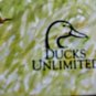 Raising Riley: A Kids First Lab Puppy Doug Truax Hardcover 2004 Ducks Unlimited