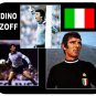 Dino Zoff (Italy) Mouse Pad