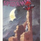 The Amazing Spiderman – 1990 - Spirits Of the Earth