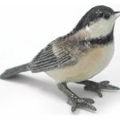 Northern Rose Black-Capped Chickadee R182