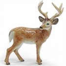 Northern Rose Deer Buck R198