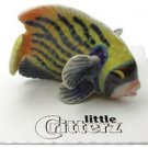 Little Critterz Emperator Emperor Angelfish LC978