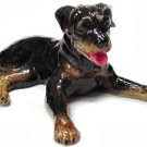 Northern Rose Rottweiler Puppy R150 NEW Retired
