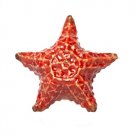 Little Critterz Sea Star Starfish LC757