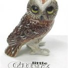 Little Critterz Sawyer Saw-Whet Owl LC567
