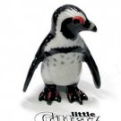 Little Critterz Simon African Penguin LC212