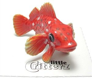 Little Critterz Rosy Rockfish LC930 Retired