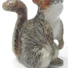 Northern Rose Gray Squirrel Standing R223