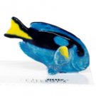 Little Critterz Hippo Blue Tang Fish LC881