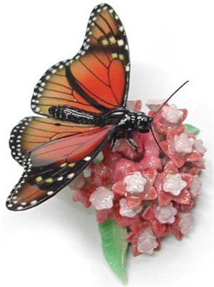 Northern Rose Monarch Butterfly on Flower R167 NEW