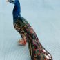 NEW Klima Miniaure Porcelain Animal Peacock Looking Left X856