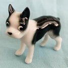 Bug House Boston Terrier Miniature Bone China Figurine