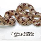 Little Critterz Mojave Sidewinder Snake LC305