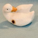 Bug House Duck - Japan