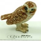 Little Critterz Athene Burrowing Owl LC849