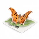 Little Critterz Fabricius Question Mark Butterfly LC1039