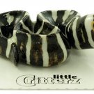 Little Critterz Retreat Zebra Moray Eel LC825