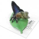 Little Critterz "Venus" Blue Morpho Butterfly LC521