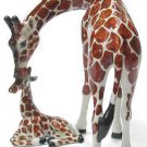 Northern Rose Mama Giraffe with Calf R089
