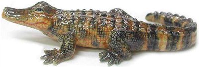 Northern Rose American Alligator R234 NEW