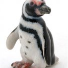 Little Critterz "Ferdinand" Magellanic Penguin LC999 NEW