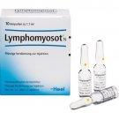 Lymphomyosot N 10 Ampoules X 1.1 m help lLymph Nodes
