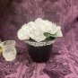 Hand Painted Flower Pot Black White