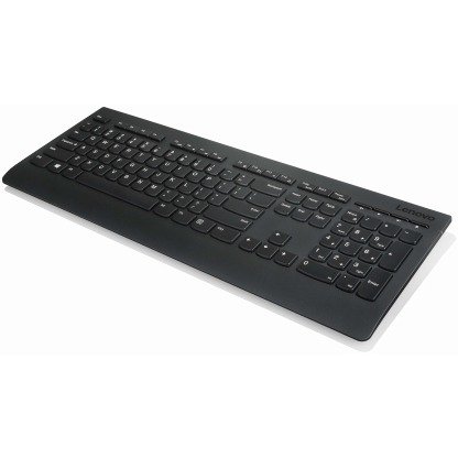 Lenovo Professional - keyboard - English - US