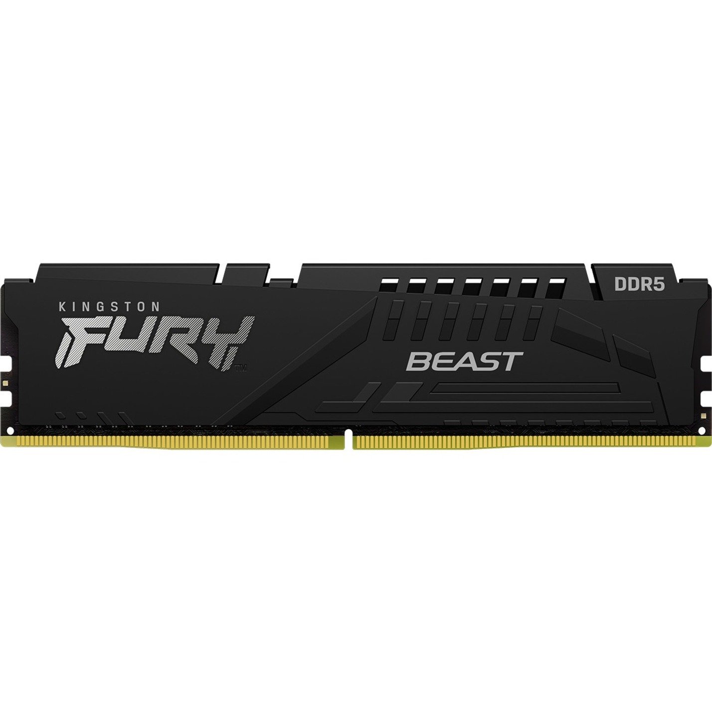 Fury Beast 16Gb 6000Mhz Ddr5 Cl40 Dimm Single Module Desktop Memory Kf560C40Bb